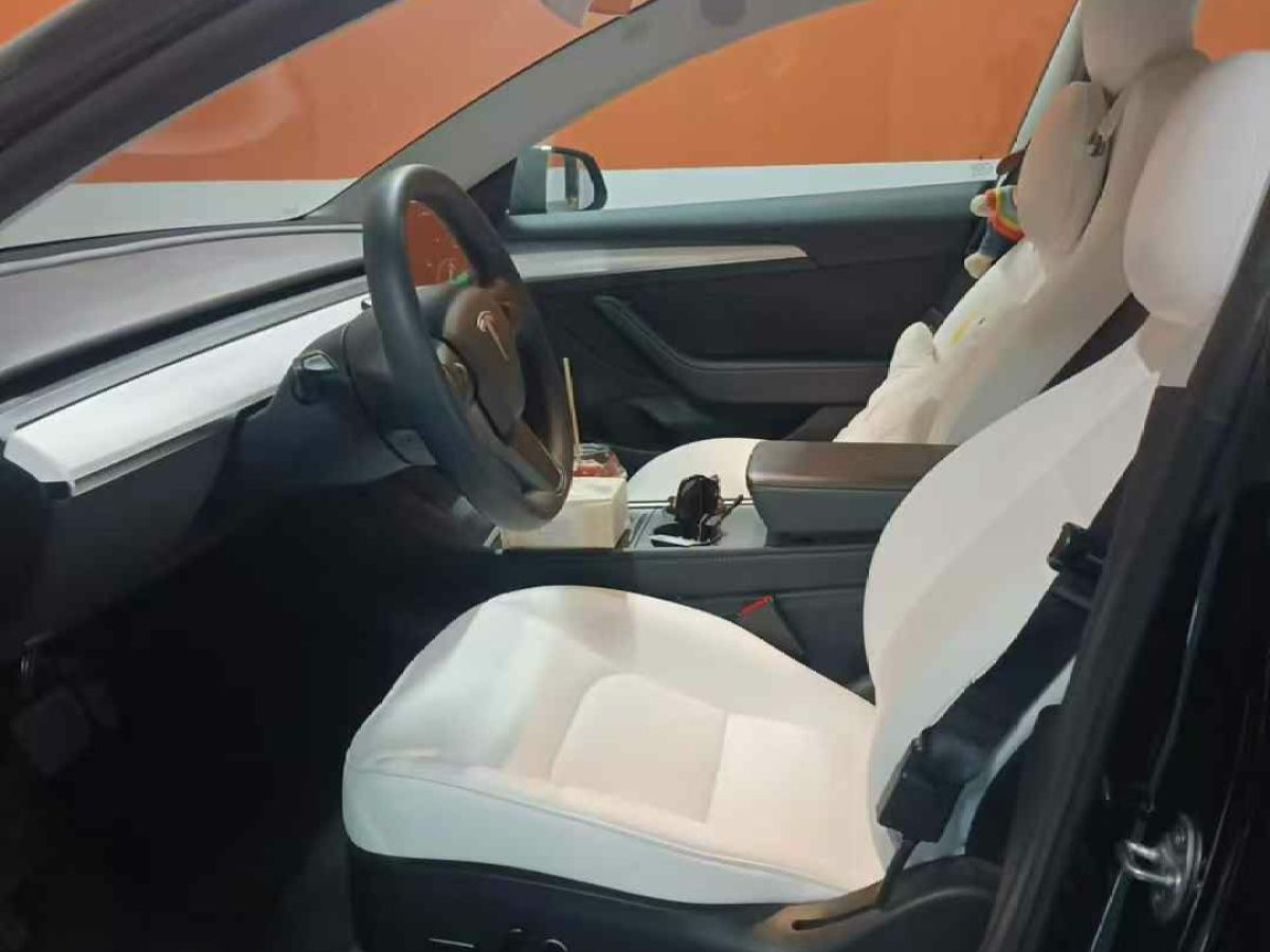 特斯拉 Model 3  2022款 Performance高性能全輪驅(qū)動(dòng)版圖片