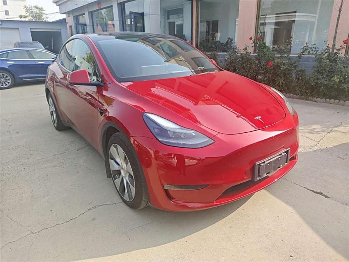 2021年2月特斯拉 Model 3  2021款 改款 長續(xù)航全輪驅(qū)動版