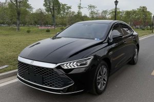 秦PLUS 比亞迪 榮耀版 DM-i 120KM卓越型