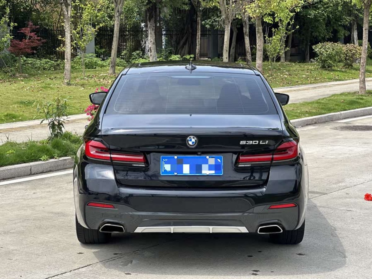 寶馬 寶馬5系  2018款 530Li 領(lǐng)先型 M運動套裝圖片
