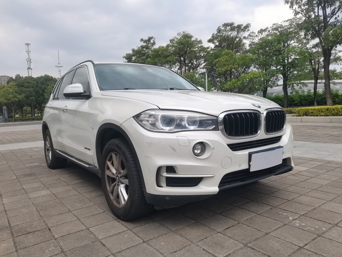 寶馬 寶馬X5  2014款 xDrive35i 領(lǐng)先型圖片