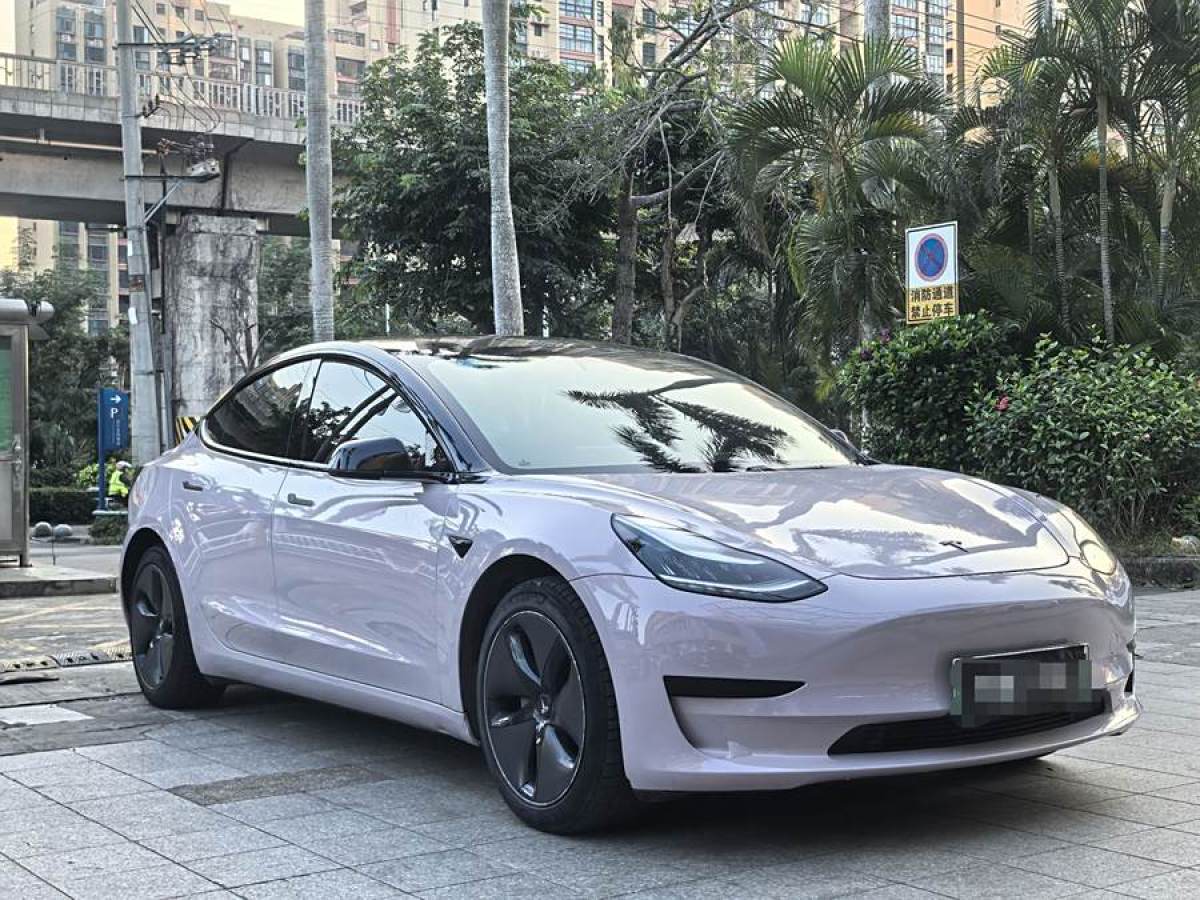 特斯拉 Model 3  2019款 標準續(xù)航后驅升級版圖片