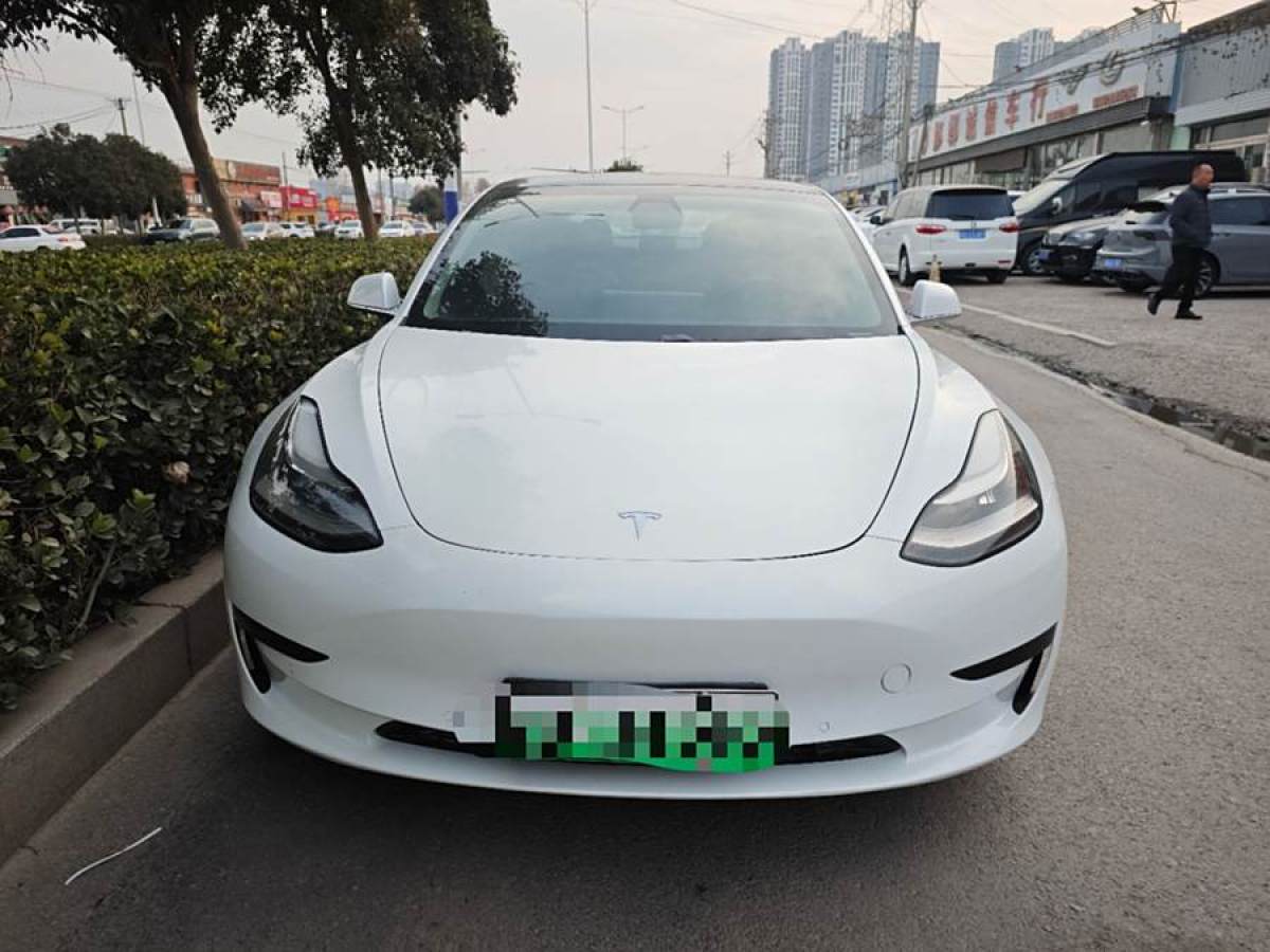 特斯拉 Model 3  2019款 標準續(xù)航后驅(qū)升級版圖片