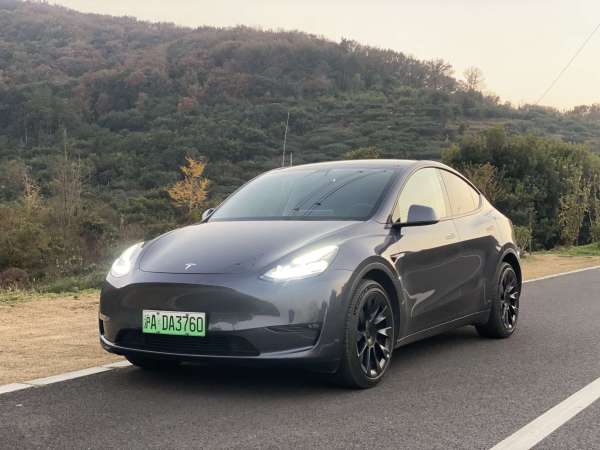 特斯拉 Model Y  2021款 长续航全轮驱动版 3D7