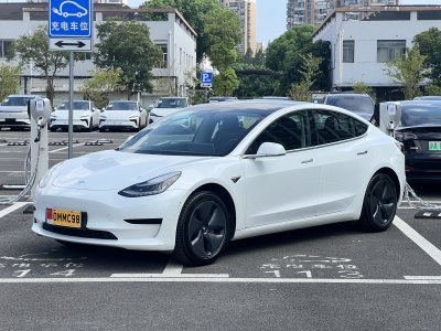 2020年5月 特斯拉 Model 3 标准续航后驱升级版图片