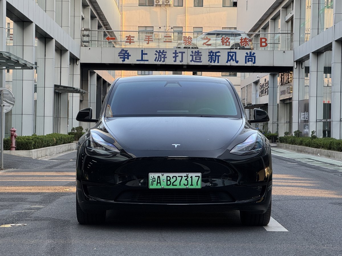 特斯拉 Model Y  2020款 改款 長(zhǎng)續(xù)航后輪驅(qū)動(dòng)版圖片