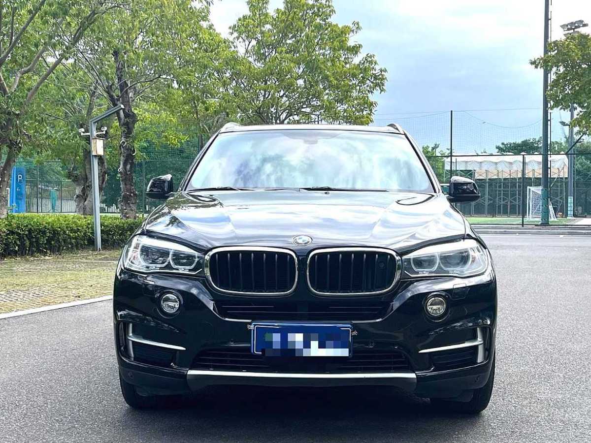 寶馬 寶馬X5  2014款 xDrive35i 領先型圖片