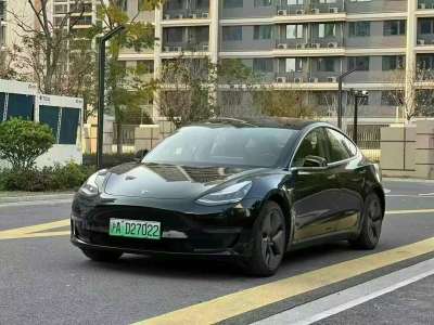 2019年6月 特斯拉 Model 3 標(biāo)準(zhǔn)續(xù)航后驅(qū)升級(jí)版圖片