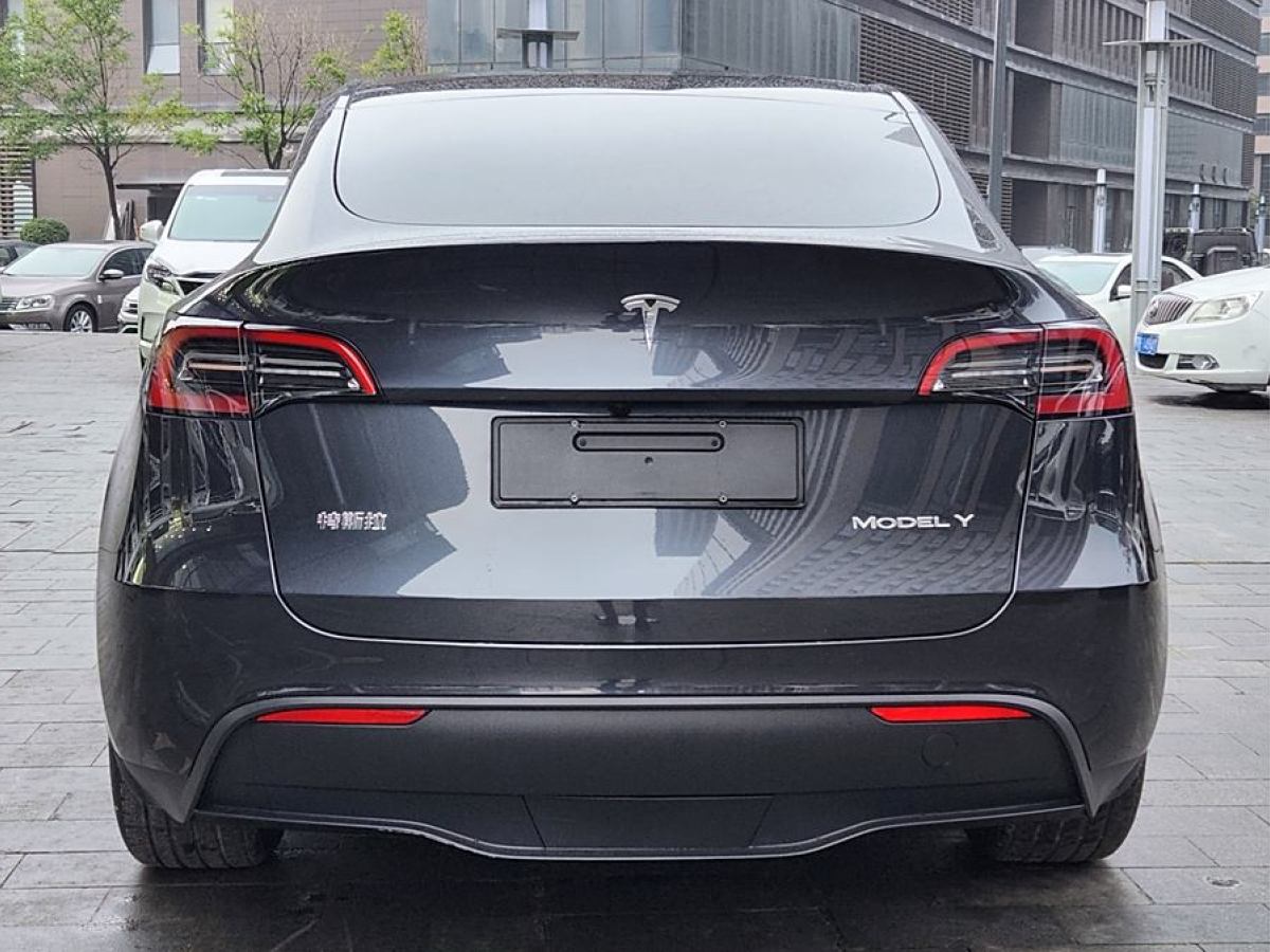 特斯拉 Model Y  2020款 改款 長(zhǎng)續(xù)航后輪驅(qū)動(dòng)版圖片