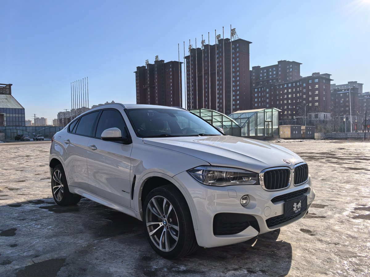 寶馬 寶馬X6  2015款 xDrive35i 豪華型圖片