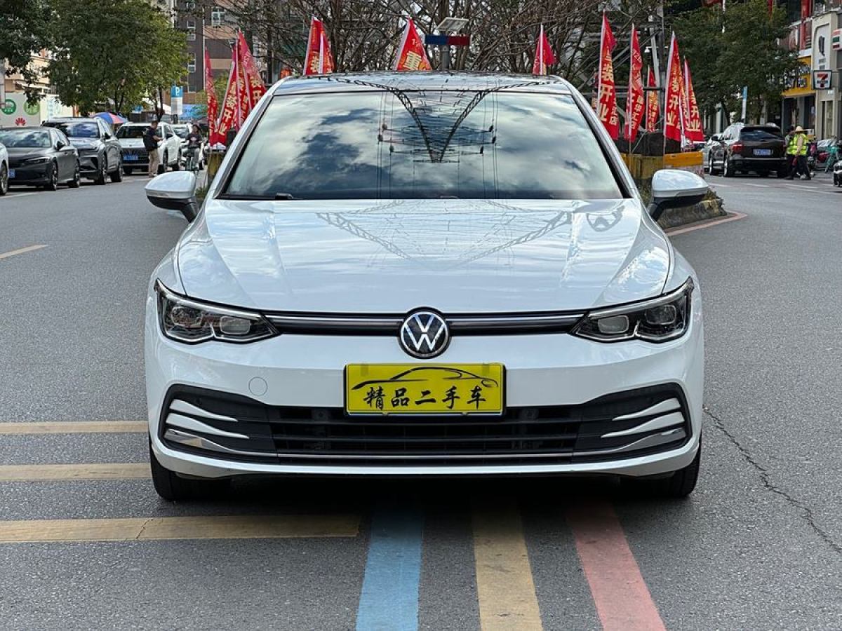 大眾 高爾夫  2021款 280TSI DSG Pro圖片