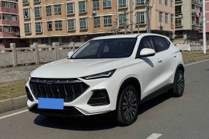 長(zhǎng)安歐尚X5 長(zhǎng)安歐尚 1.5T DCT尊貴型