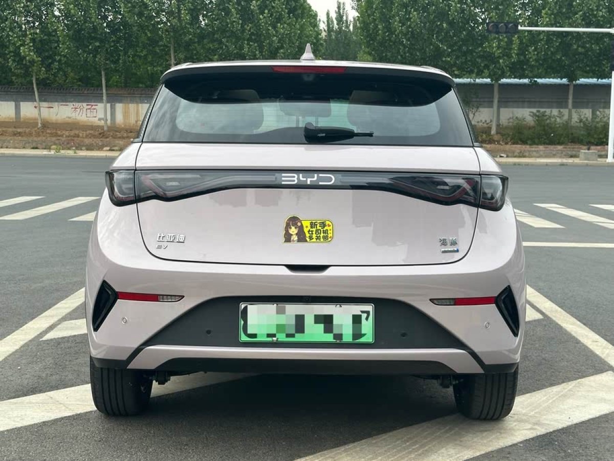 比亞迪 海豚  2025款 智駕版 410km 時(shí)尚版圖片