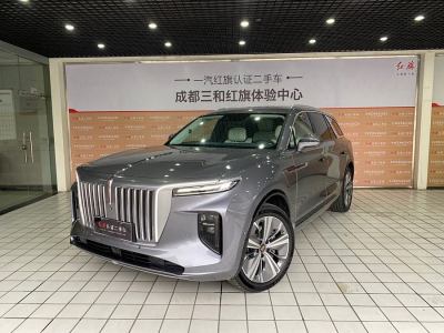 2023年2月 红旗 红旗E-HS9 690km 旗享版 六座图片