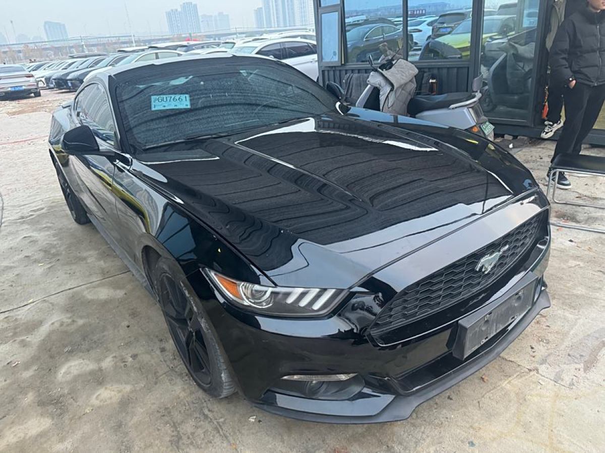 福特 Mustang  2015款 2.3T 性能版圖片