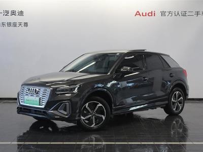 2022年5月 奥迪 Q2L e-tron Q2L e-tron 纯电智享型图片