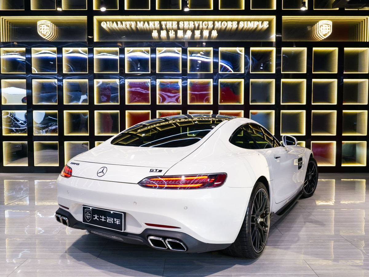 奔馳 奔馳AMG GT  2019款 AMG GT圖片