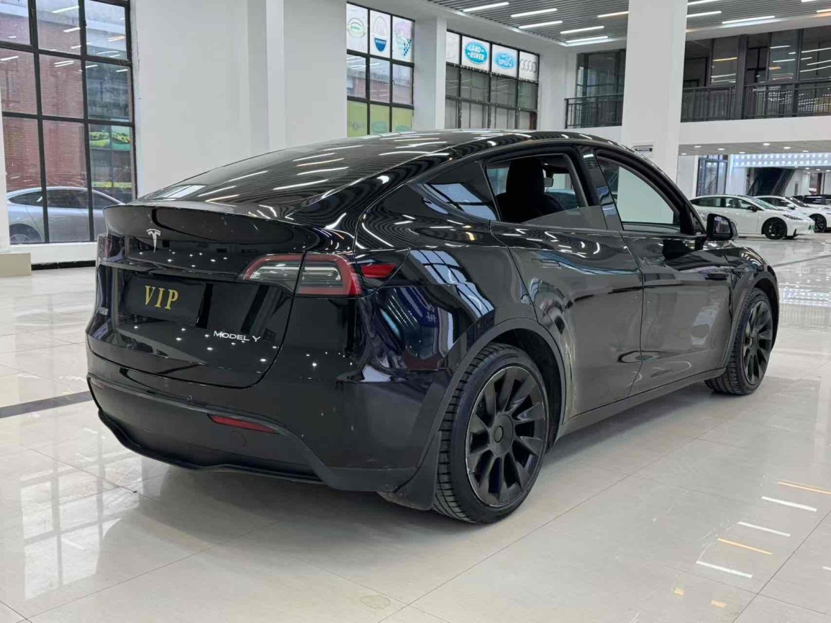 特斯拉 Model Y  2021款 標(biāo)準(zhǔn)續(xù)航后驅(qū)版圖片