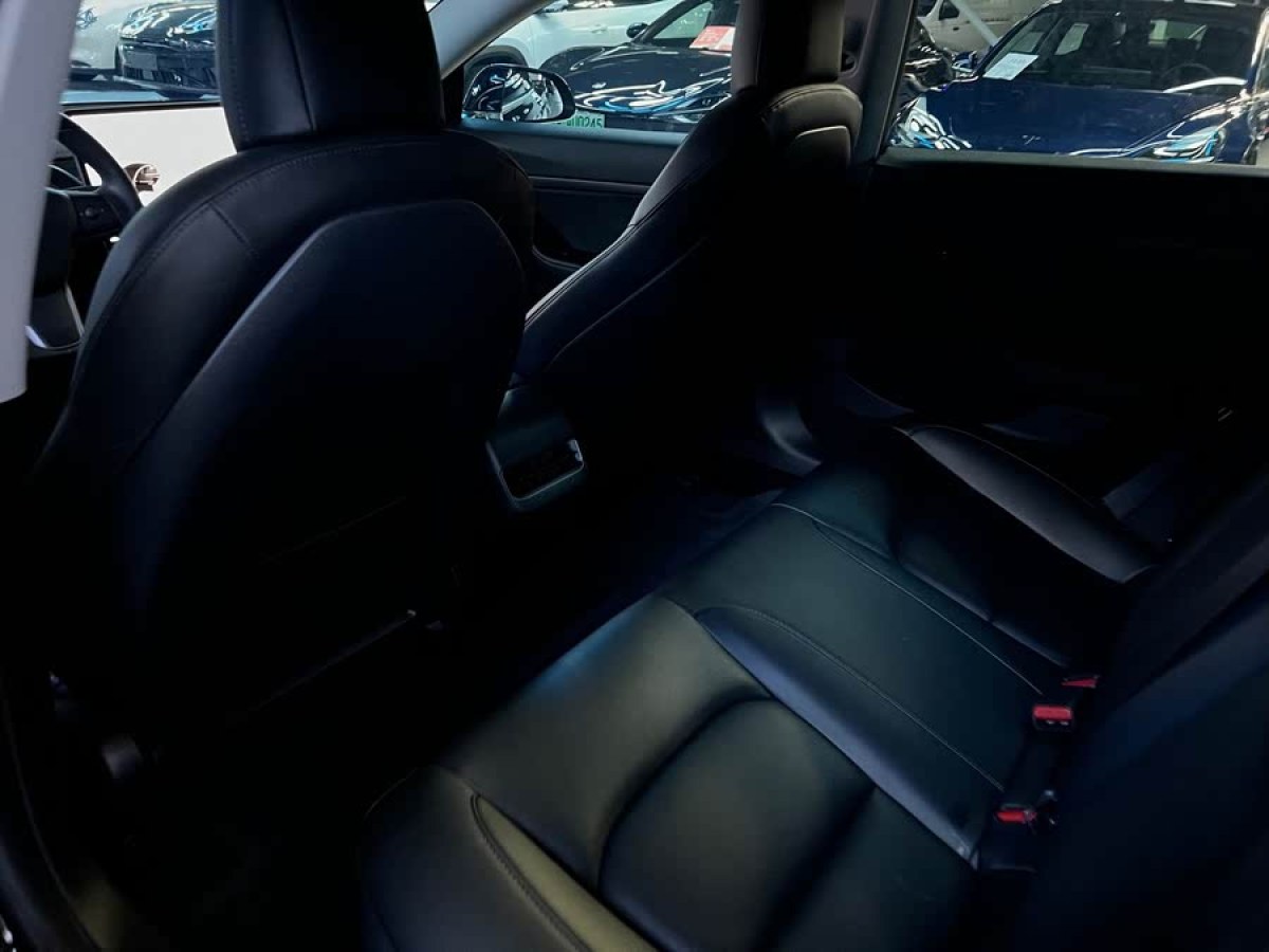 特斯拉 Model 3  2021款 標(biāo)準(zhǔn)續(xù)航后驅(qū)升級(jí)版 3D6圖片