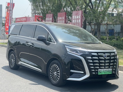 2024年06月 騰勢(shì) 騰勢(shì)D9 DM-i 1050 尊享型圖片