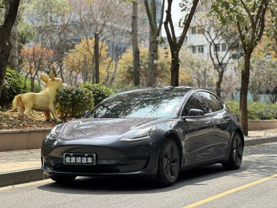 2020年8月 特斯拉 Model 3 標準續(xù)航后驅升級版圖片