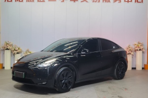 Model Y 特斯拉 后輪驅(qū)動版
