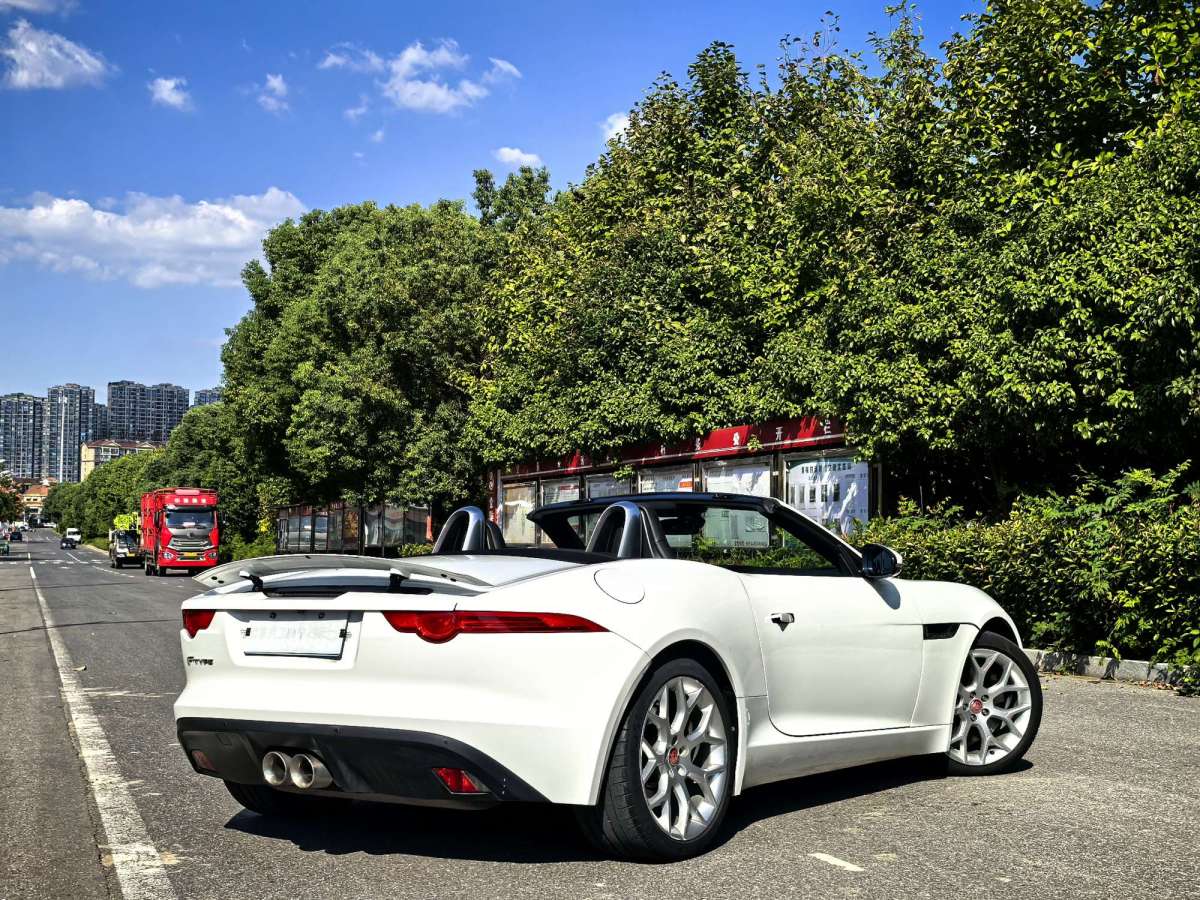 捷豹 F-TYPE  2013款 3.0T 敞篷版圖片