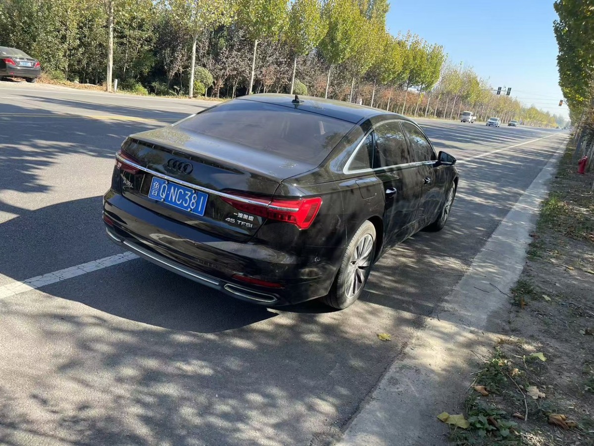 奧迪 奧迪A6L  2019款 45 TFSI 臻選致雅型圖片