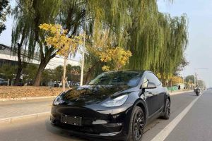 Model Y 特斯拉 Performance高性能全轮驱动版