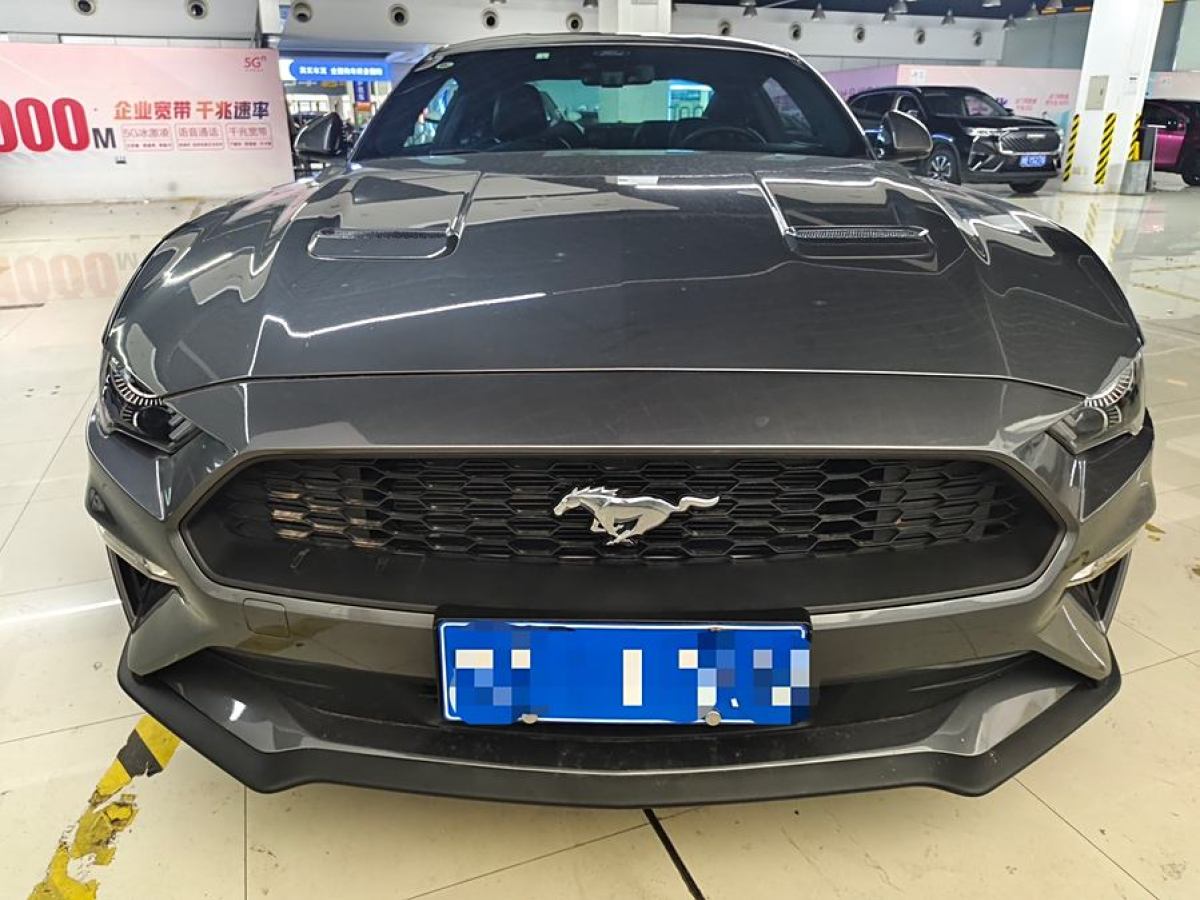 2021年10月福特 Mustang  2021款 2.3L EcoBoost 黑曜魅影特別版