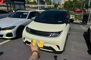 海豚 比亞迪 榮耀版 302km 活力版