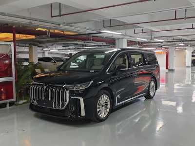 2024年6月 嵐圖 夢(mèng)想家 PHEV 超長(zhǎng)續(xù)航尊貴版圖片