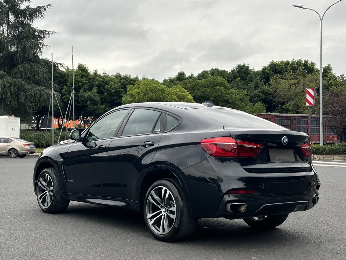 宝马 宝马X6  2019款 xDrive35i尊享型 M运动套装图片