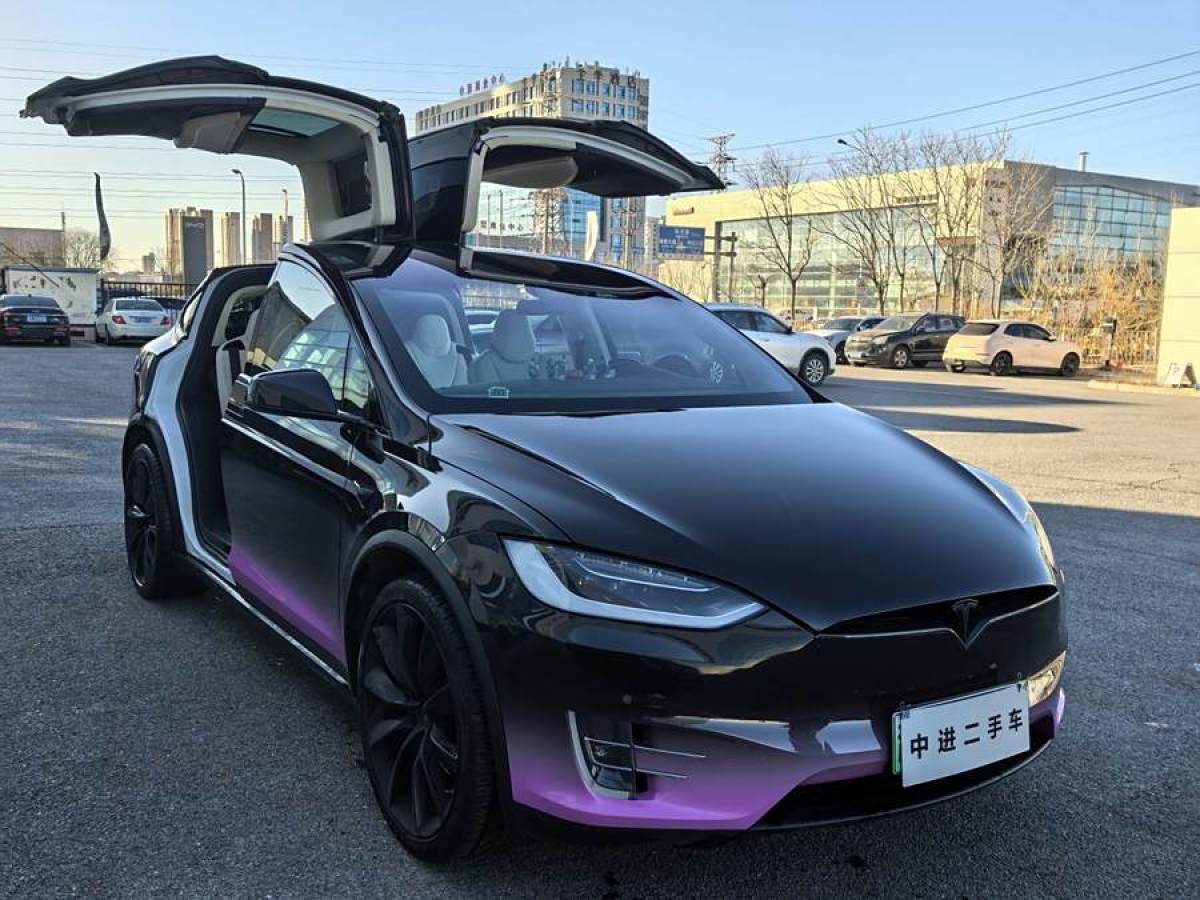 特斯拉 Model X  2019款 長續(xù)航版圖片