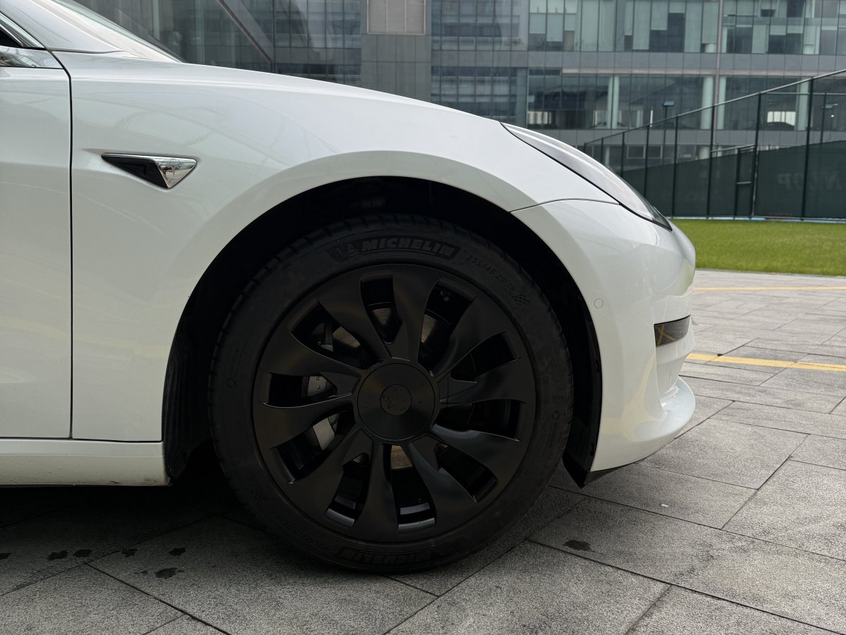 特斯拉 Model 3  2019款 標(biāo)準(zhǔn)續(xù)航后驅(qū)升級(jí)版圖片