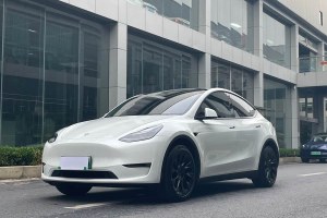 Model Y 特斯拉 長(zhǎng)續(xù)航全輪驅(qū)動(dòng)版