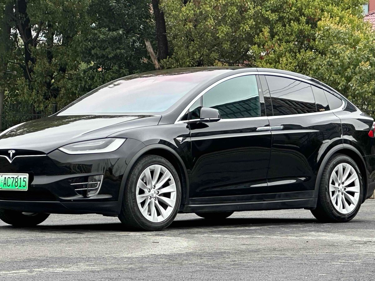 特斯拉 Model X  2016款 Model X 75D圖片