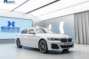 宝马5系 宝马 530Li 领先型 M运动套装