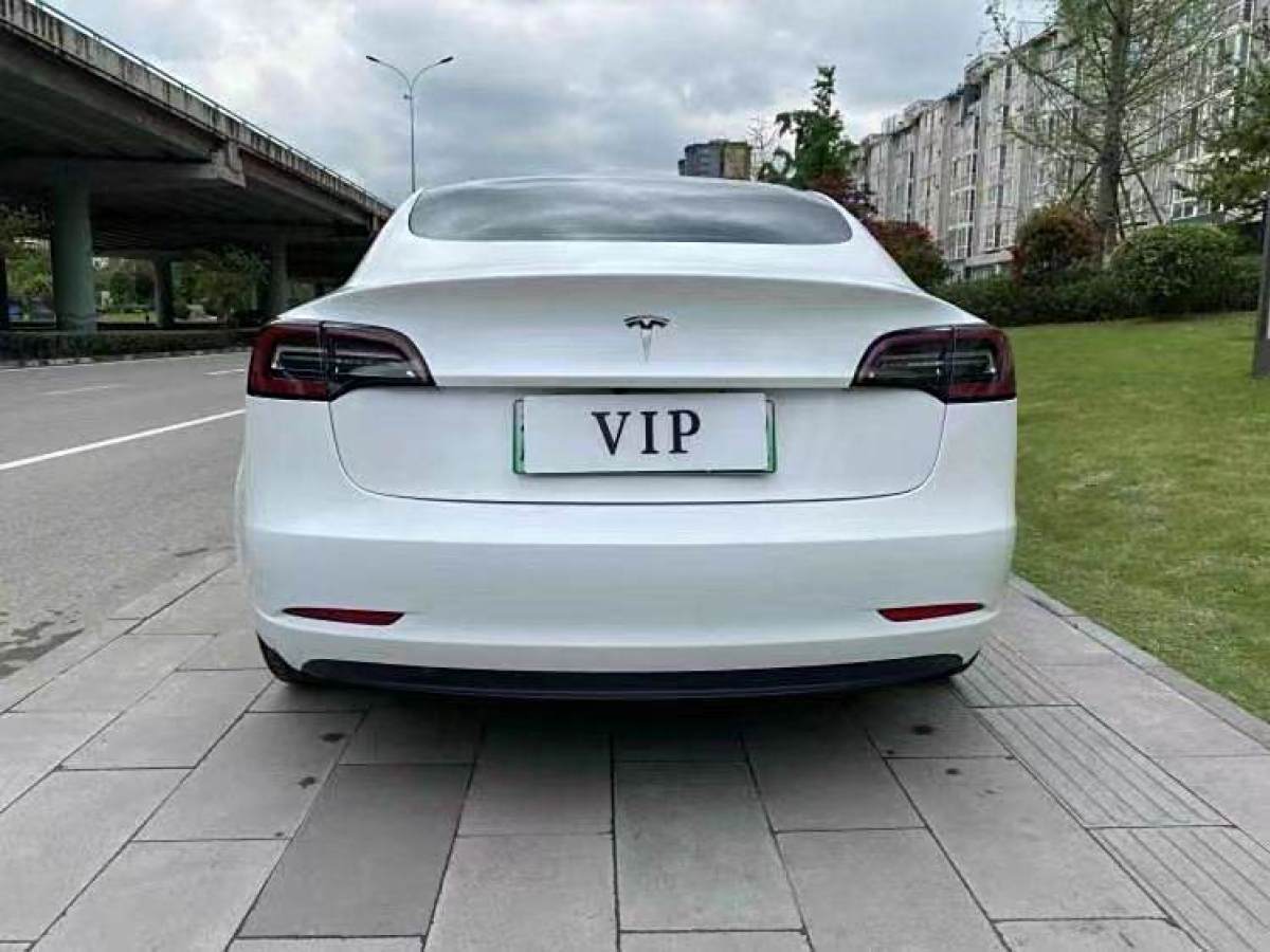 特斯拉 Model 3  2019款 標(biāo)準(zhǔn)續(xù)航后驅(qū)升級(jí)版圖片