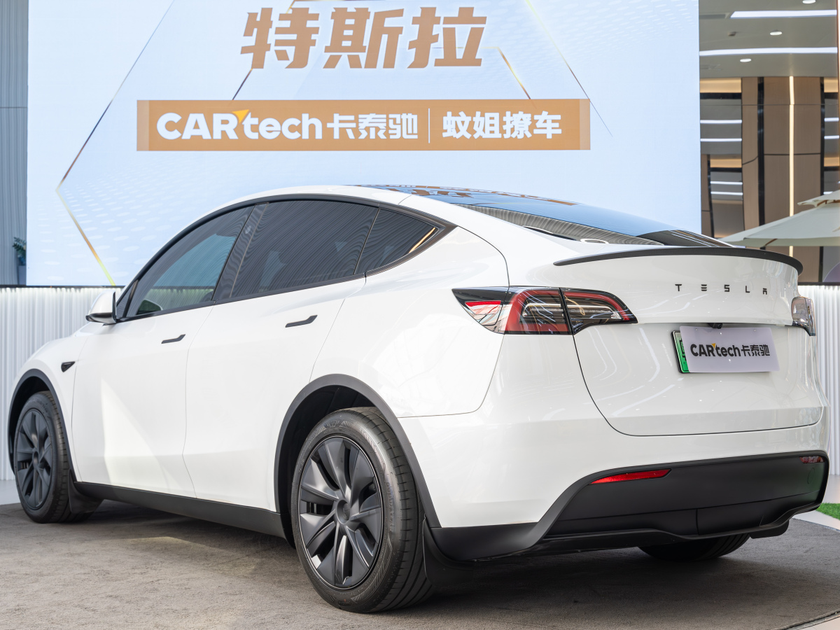 特斯拉 Model 3  2020款 改款 長續(xù)航后輪驅(qū)動版圖片