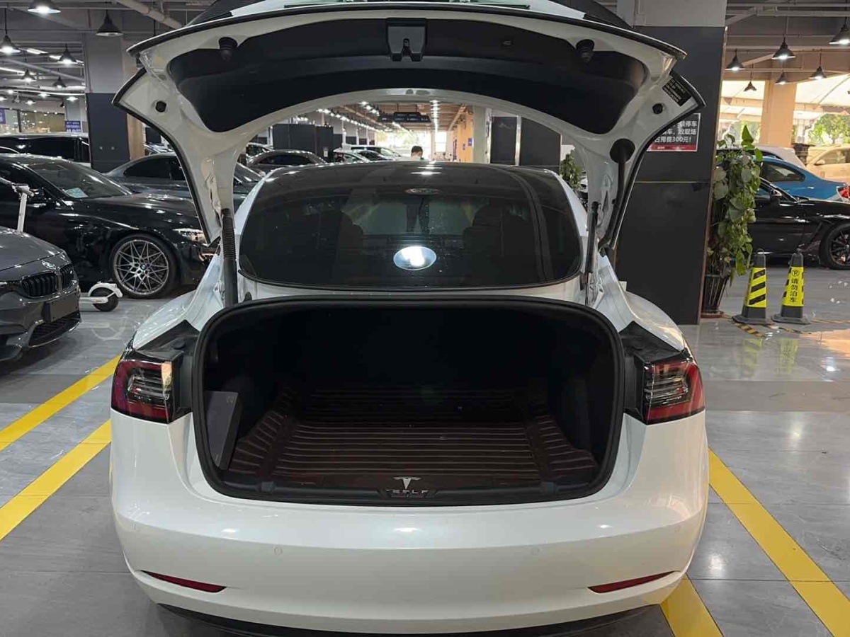 特斯拉 Model 3  2019款 Performance高性能全輪驅(qū)動版圖片