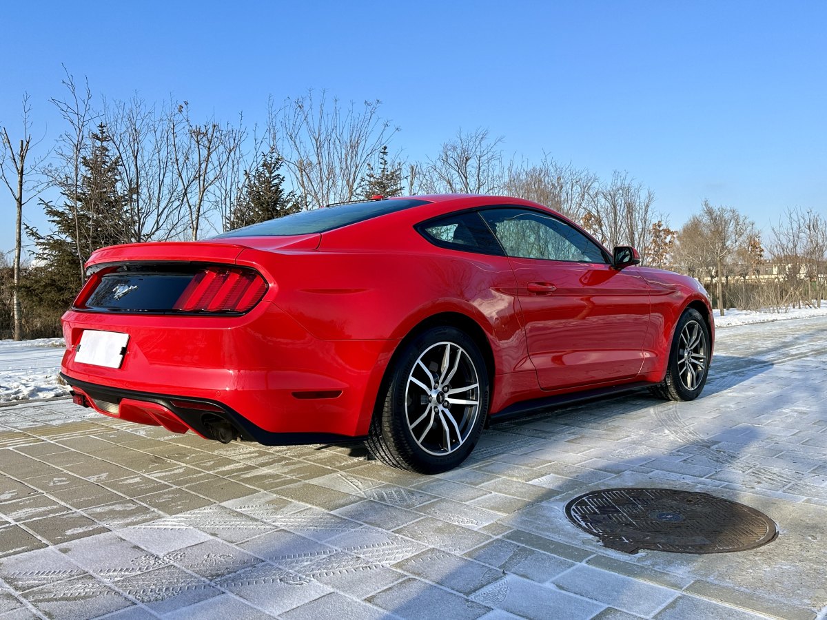 福特 Mustang  2015款 2.3T 性能版圖片