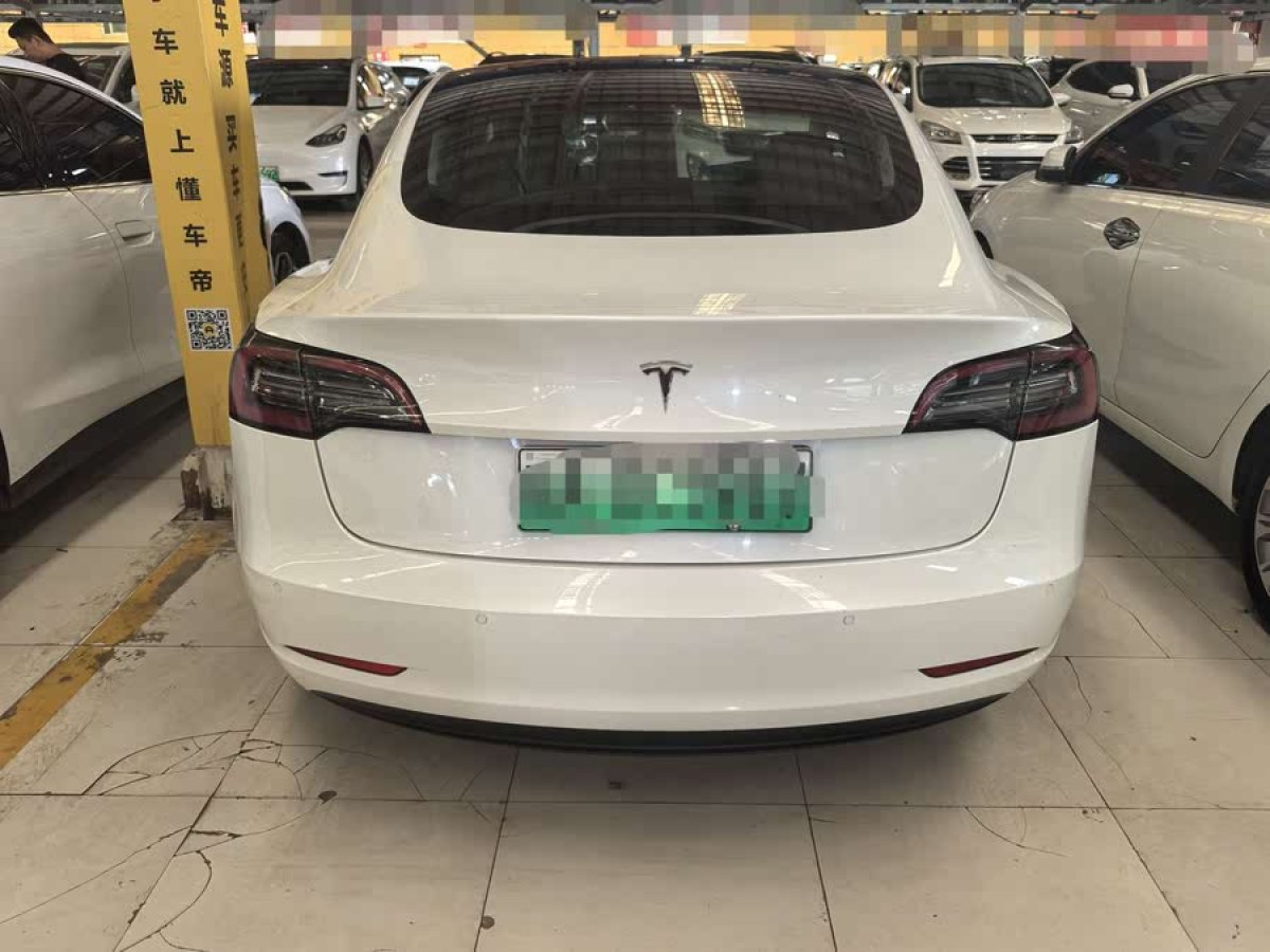 特斯拉 Model 3  2021款 改款 標準續(xù)航后驅升級版圖片