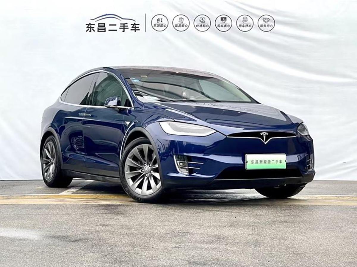 特斯拉 Model X  2017款 Model X 100D 長續(xù)航版圖片