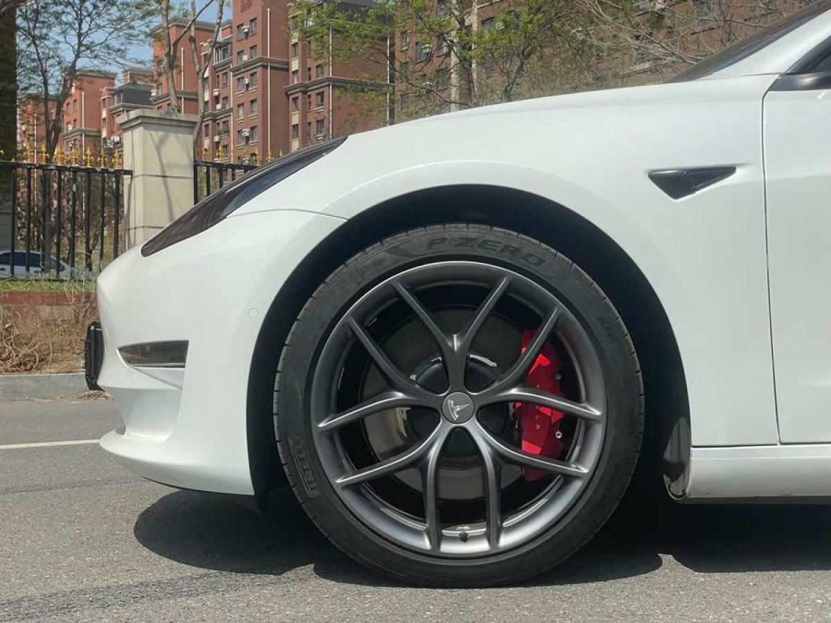 特斯拉 Model 3  2022款 Performance高性能全輪驅(qū)動(dòng)版圖片