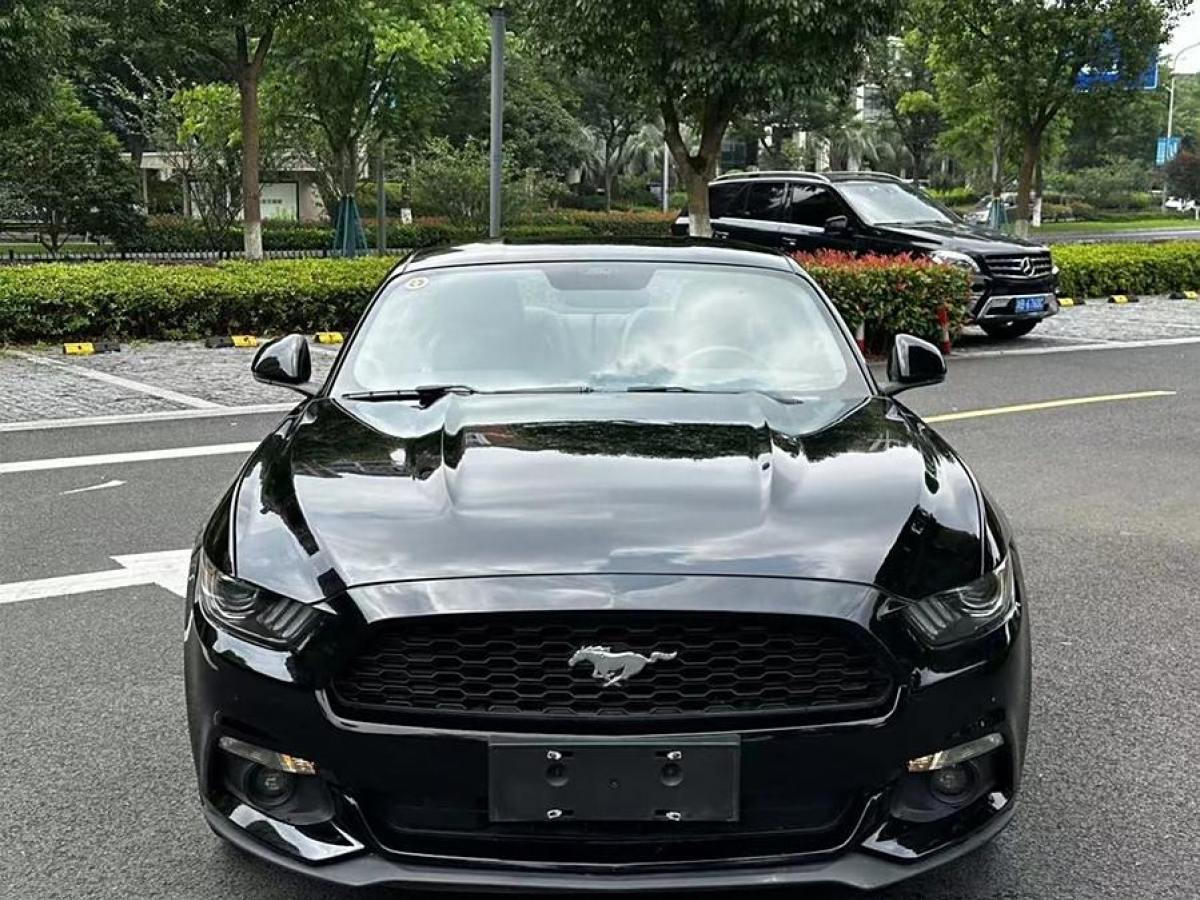 福特 Mustang  2016款 2.3T 性能版圖片