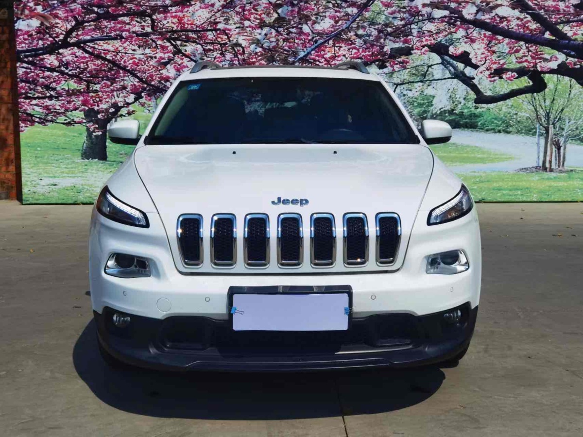 jeep 自由光 2017款 2.4l 領先版圖片