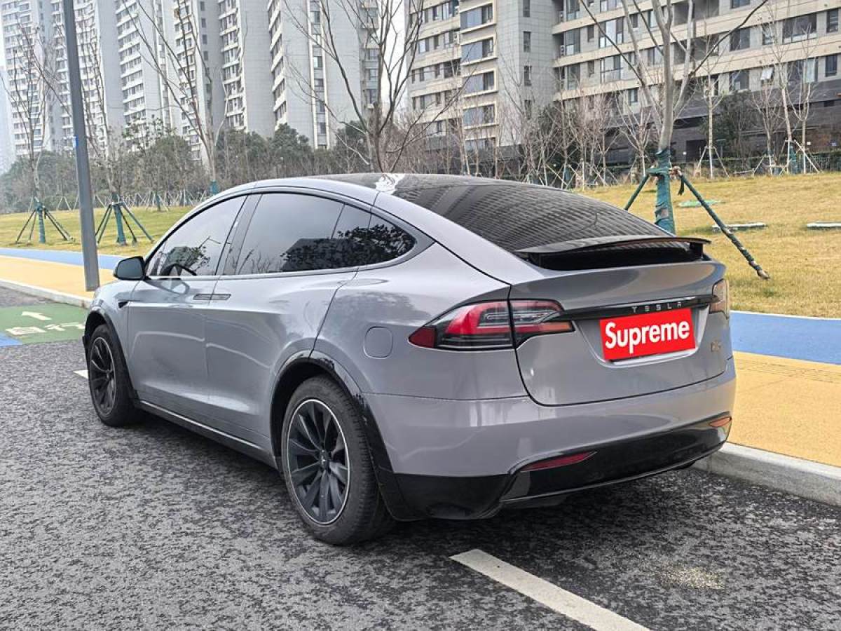 特斯拉 Model X  2019款 Performance 高性能版圖片