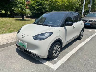 2024年1月 五菱 五菱繽果PLUS 330km 五座版圖片