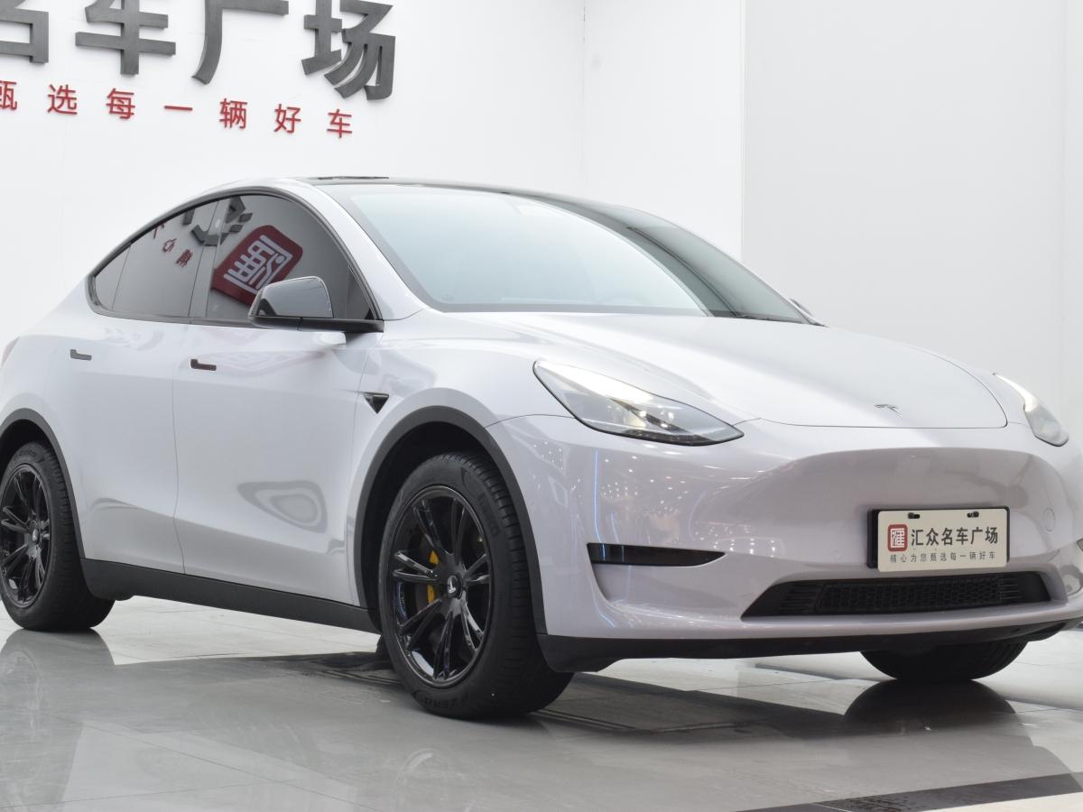 特斯拉 Model Y  2020款 改款 長續(xù)航后輪驅(qū)動版圖片